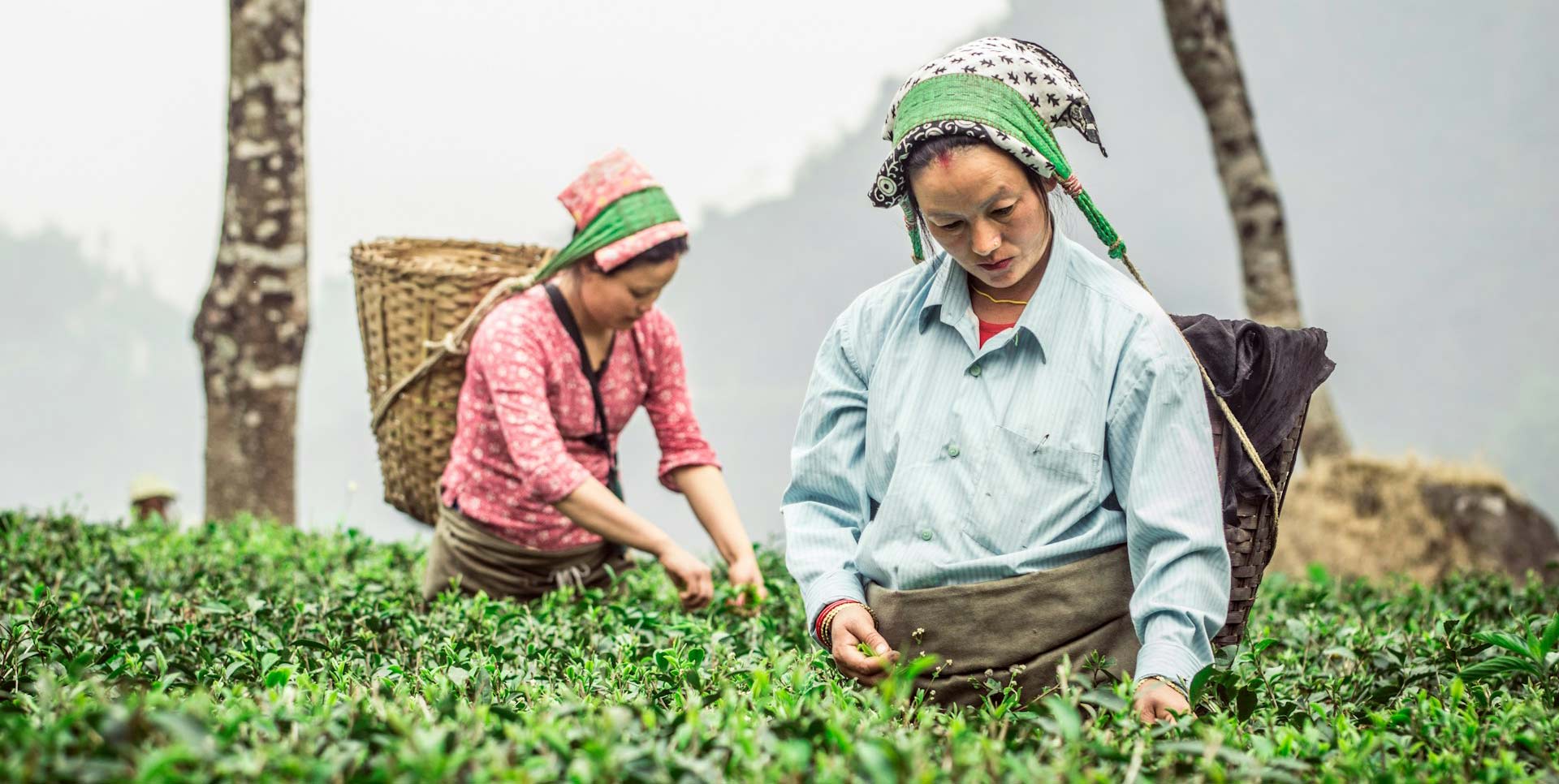 2 Nights 3 Days Darjeeling Tour Packages